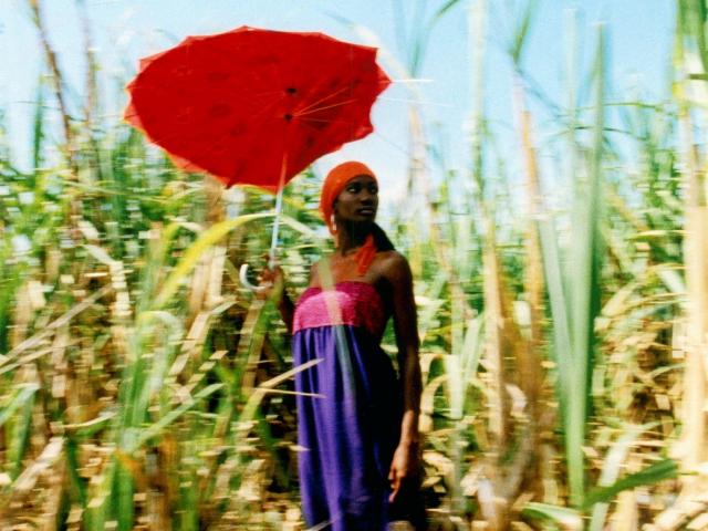 Esther Haase: Red Umbrella in Cornfield, Havanna 2003