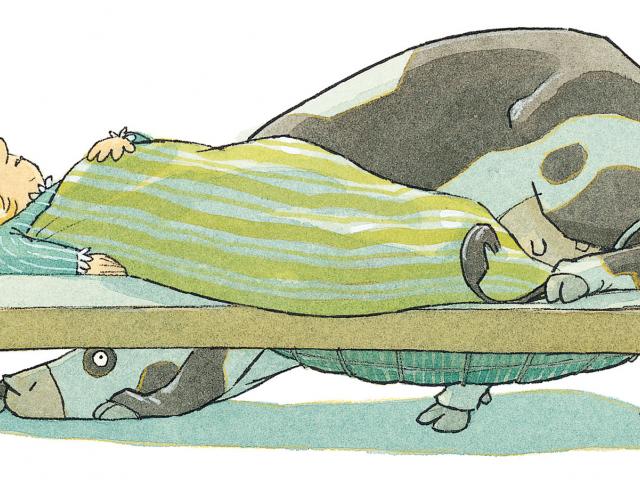 Bild aus dem Kinderbuch "Lieselotte bleibt wach", Illustration: Verlag Fischer Sauerländer