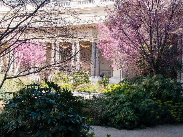 Der Garten im Innenhof des Petit Palais, ein Geheimtipp der Künstlerin. Foto: Eva Maria Lopez